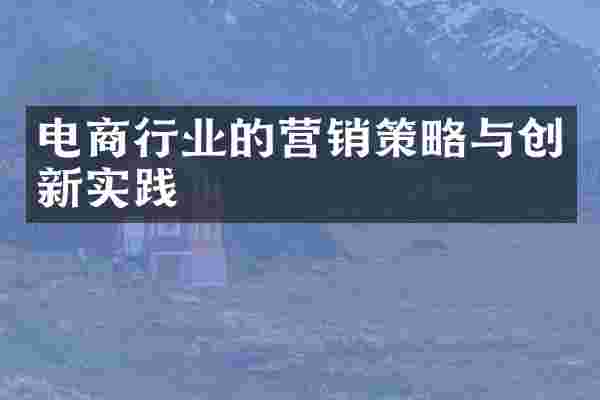 电商行业的营销策略与创新实践