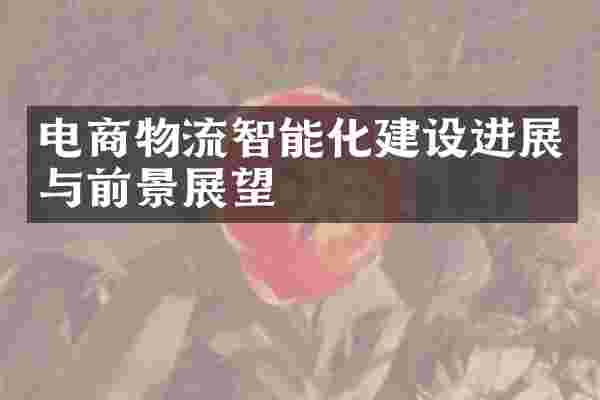 电商物流智能化建设进展与前景展望