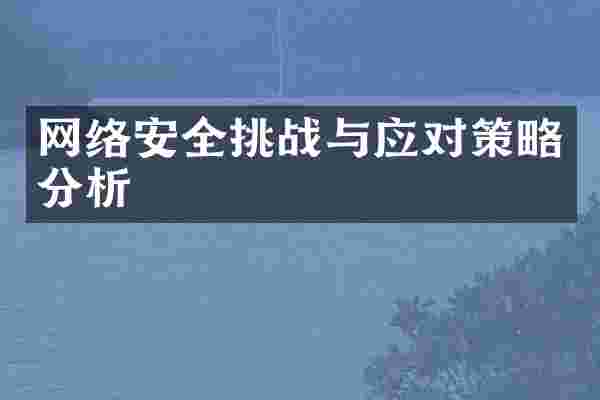网络安全挑战与应对策略分析