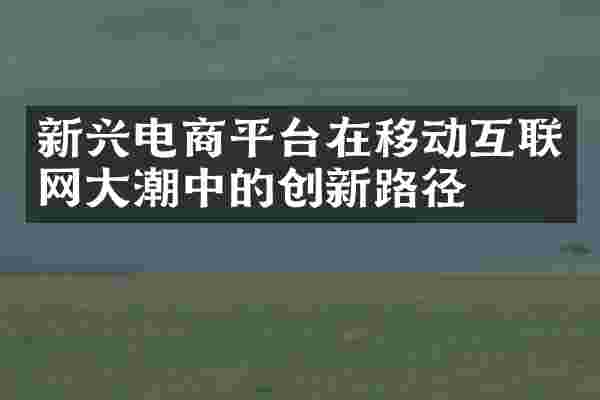 新兴电商平台在移动互联网大潮中的创新路径