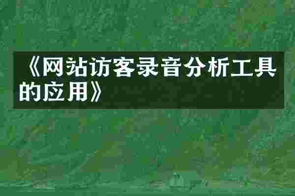 《网站访客录音分析工具的应用》