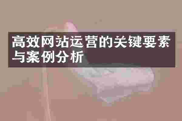 高效网站运营的关键要素与案例分析