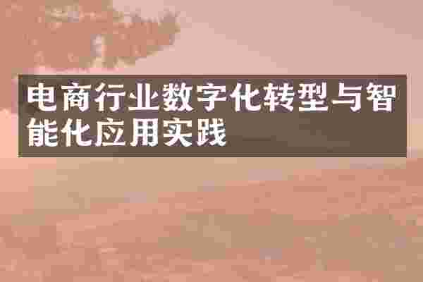 电商行业数字化转型与智能化应用实践