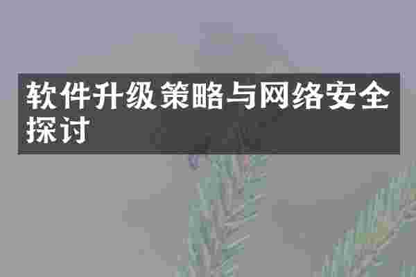 软件升级策略与网络安全探讨