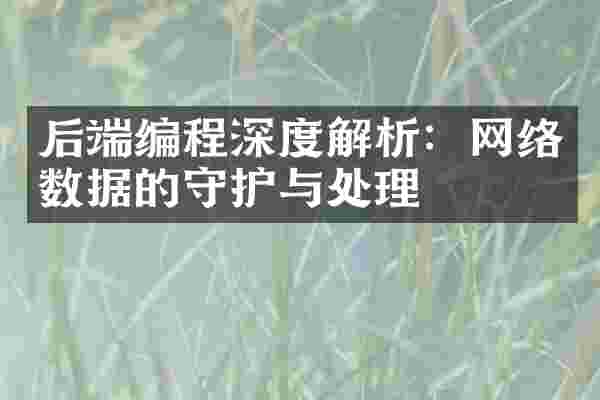 后端编程深度解析：网络数据的守护与处理