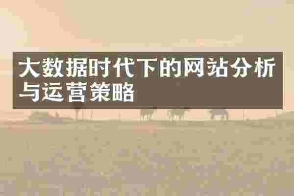 大数据时代下的网站分析与运营策略