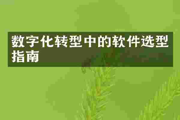 数字化转型中的软件选型指南