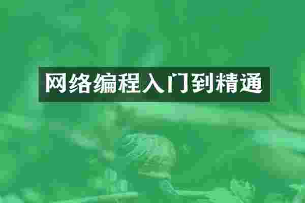 网络编程入门到精通