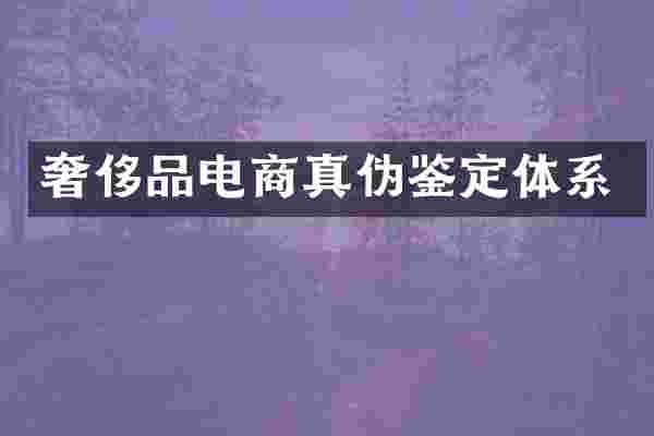 奢侈品电商真伪鉴定体系