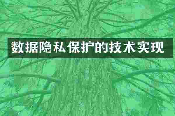 数据隐私保护的技术实现