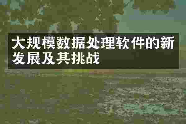 大规模数据处理软件的新发展及其挑战