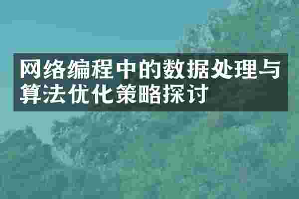 网络编程中的数据处理与算法优化策略探讨